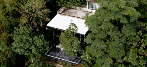 Escape the city: 12 Hours in PulaiTree