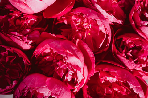 ROSE DEW HYDRATING FACIAL MASK